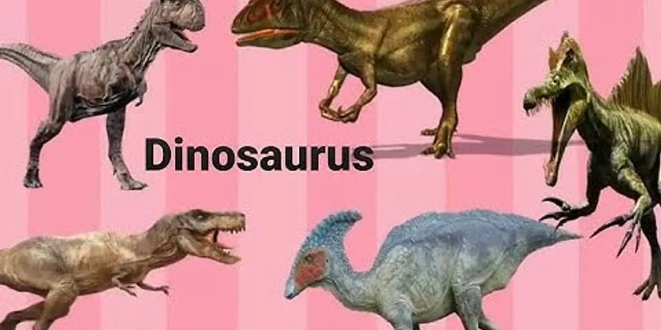 Apa saja nama dinosaurus?