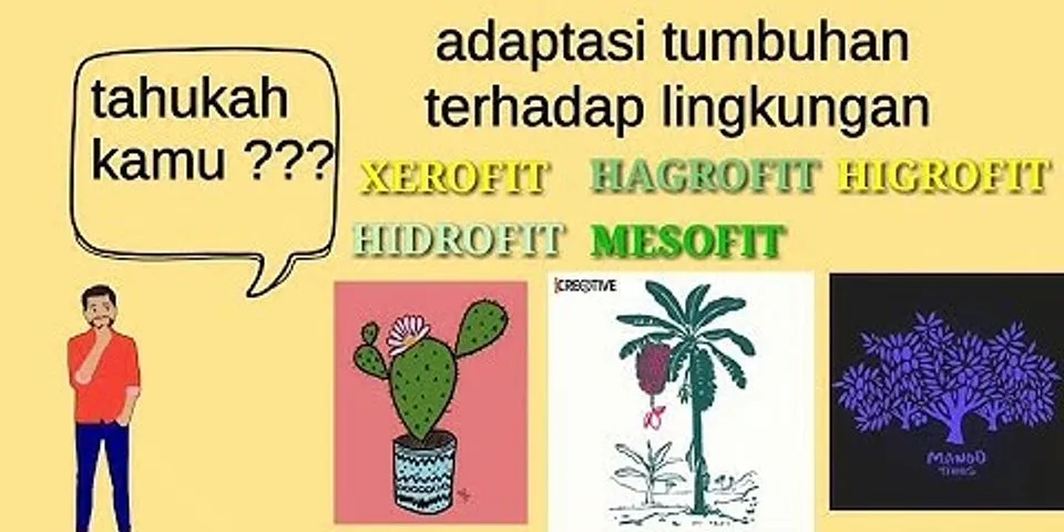 Apa saja tanaman higrofit?