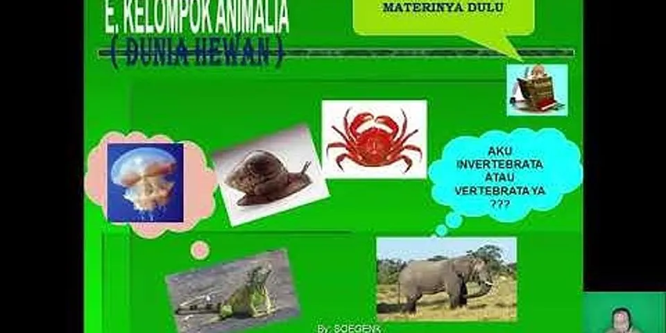 Apa yang dimaksud dengan hewan reptil dan Tuliskan 4 contoh hewannya?