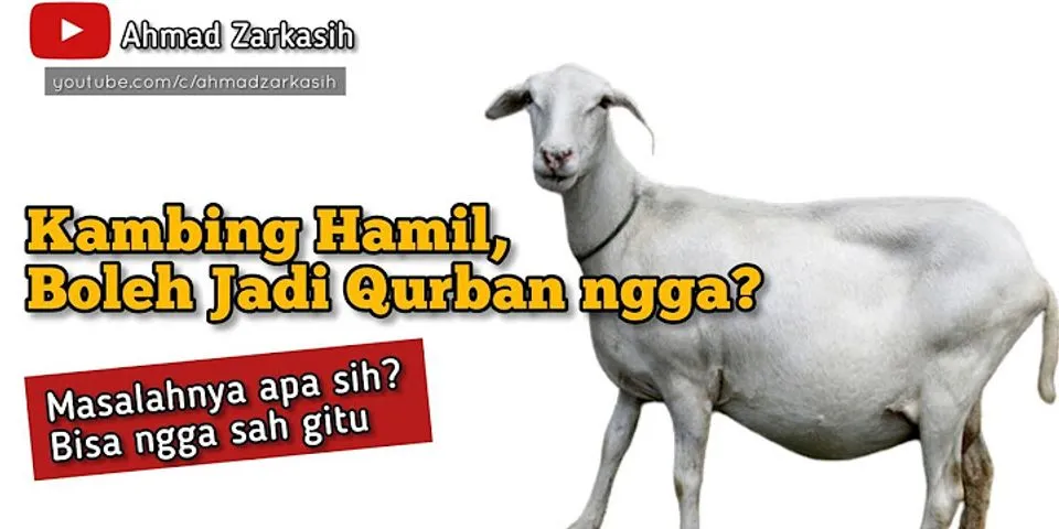 Apakah kambing betina sah untuk aqiqah?