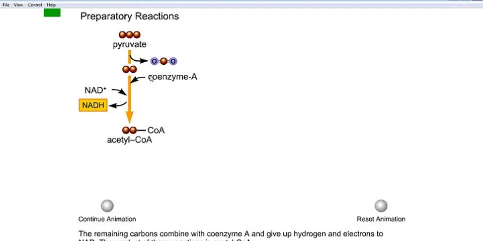 Molekul oksidatif siklus masuk dekarboksilasi yang adalah hasil krebs dari Siklus Krebs