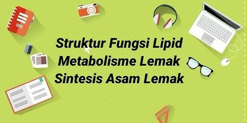 Fungsi lipid dalam tubuh