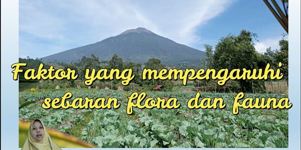 Karakteristik flora di Indonesia bagian barat dan timur memiliki perbedaan