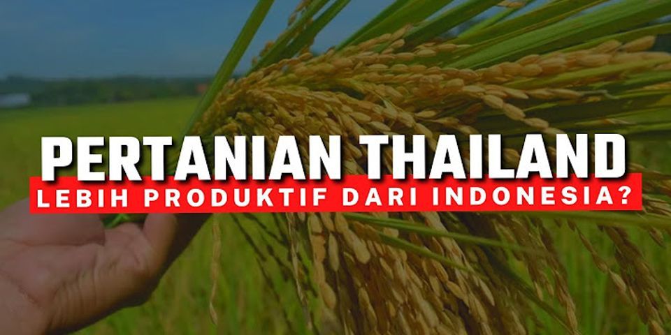 Pertanian Indonesia apa saja?