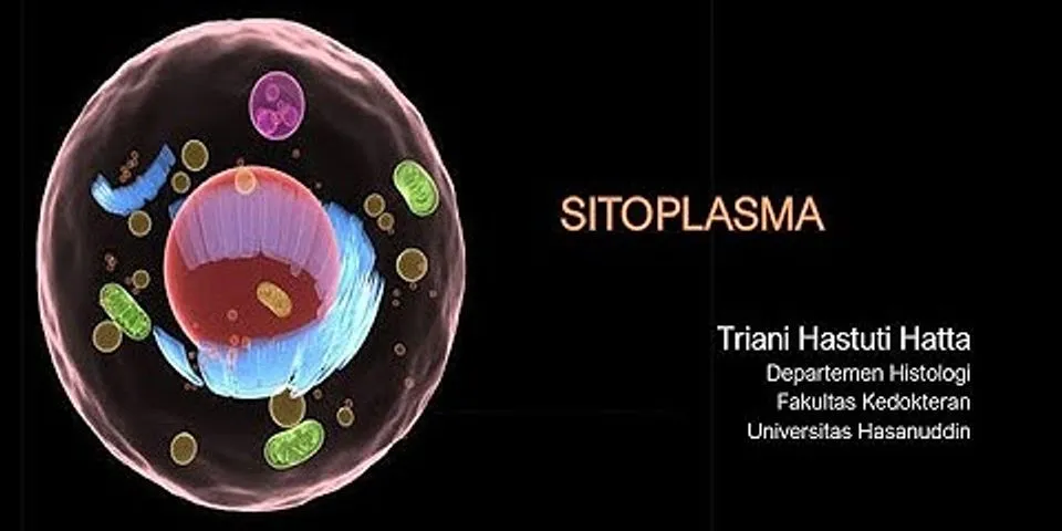 Sitoplasma terdapat pada sel