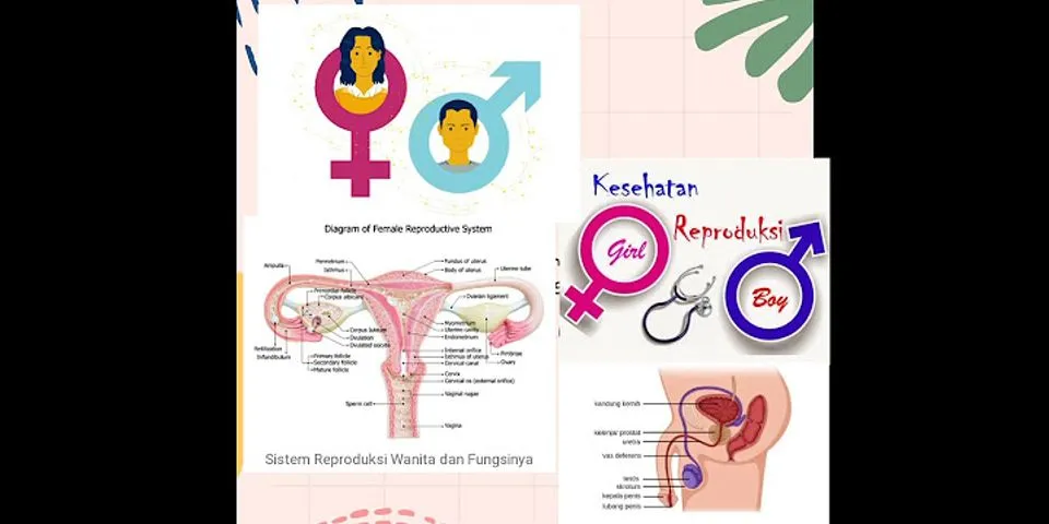 Tuliskan tiga cara menjaga kebersihan dan kesehatan alat reproduksi